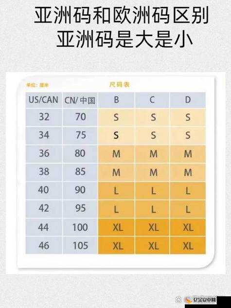 亚洲尺码和欧洲尺码对照工具箱：轻松解决尺码转换难题